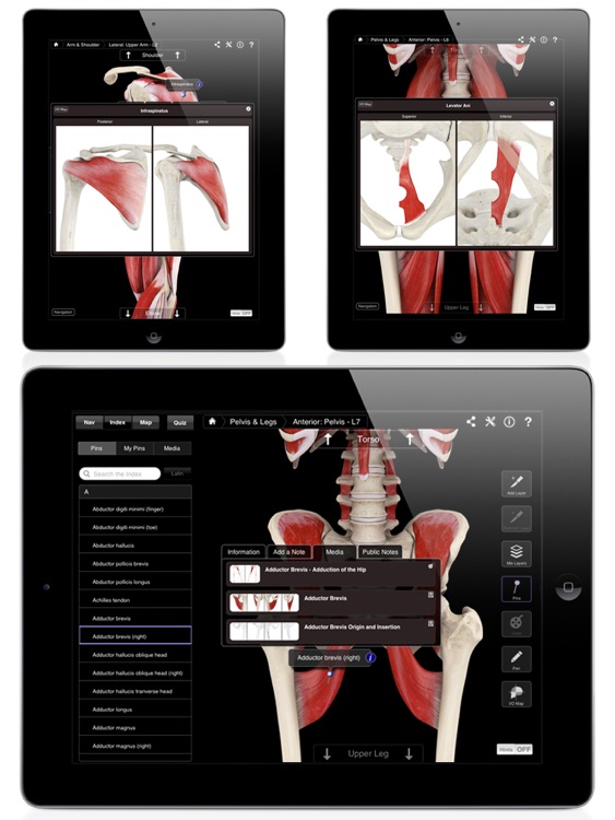 Muscle System Pro III screenshot-3