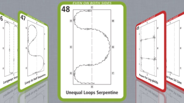 101 Schooling screenshot-3
