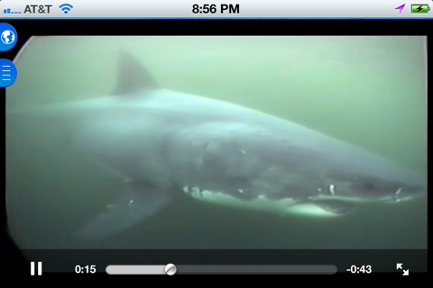 Shark Net - Predators of the Blue Serengeti screenshot 3