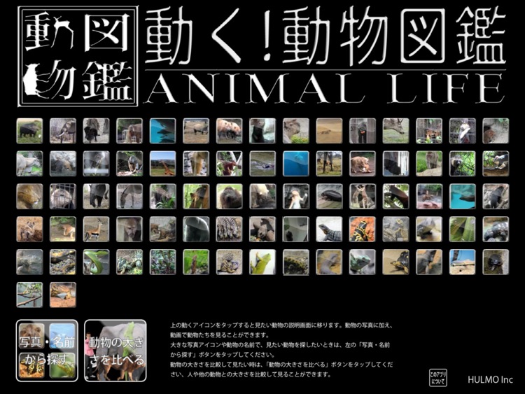 Animal Life for Japan