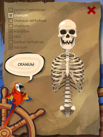 Whack A Bone screenshot 3