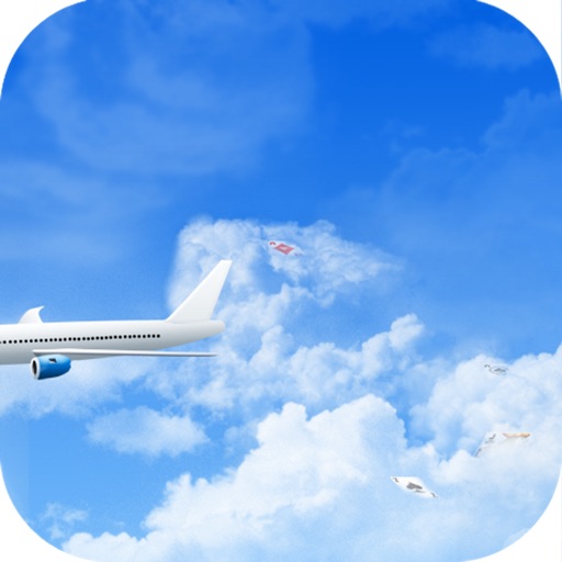 Happy Flight Solitaire icon