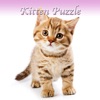 Kitten Slider Puzzle HD