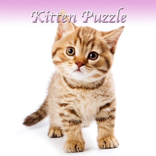 Kitten Slider Puzzle HD Icon