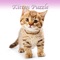 Kitten Slider Puzzle HD