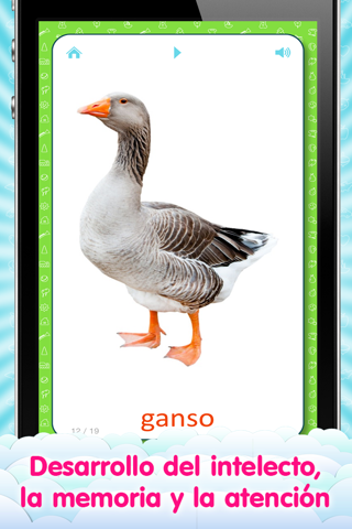 Tarjetas de Vocabulario para Niños y el juego de lógica y aprendizaje «Encuentra una Imagen» screenshot 3