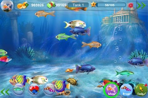 Dream Fish screenshot 4