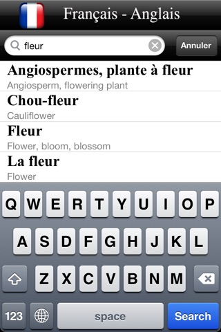 Dictionnaire Anglais-Français screenshot 4