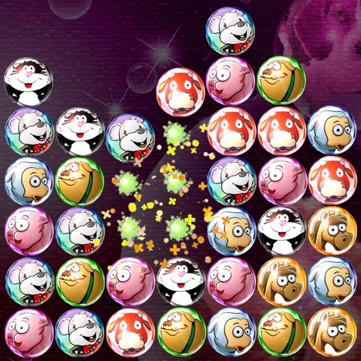 Bubble Popper Pet Puzzle : Free Fun Game Icon