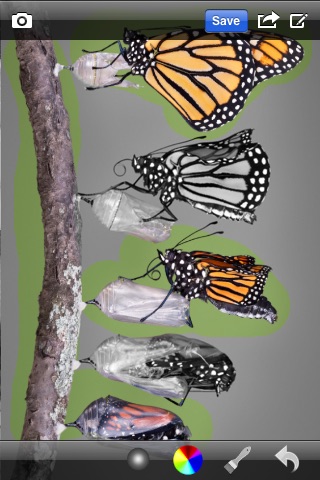 カラー化写真(Colorize photo) Freeのスクリーンショット4 カラー化写真(Colorize photo) Freeのスクリーンショット4