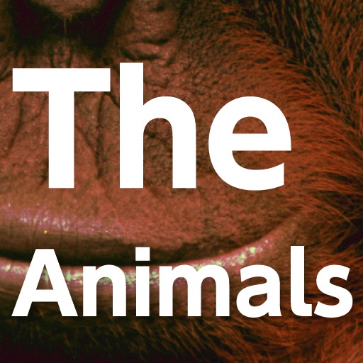 The Animals For iPad