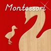 Montessori Approach To Vocabulary - Baby Animals!