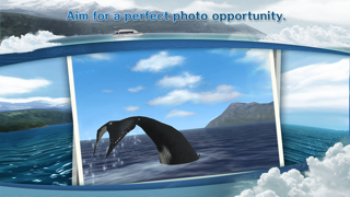 REAL WHALES  Find the cetacean. Screenshot on iOS