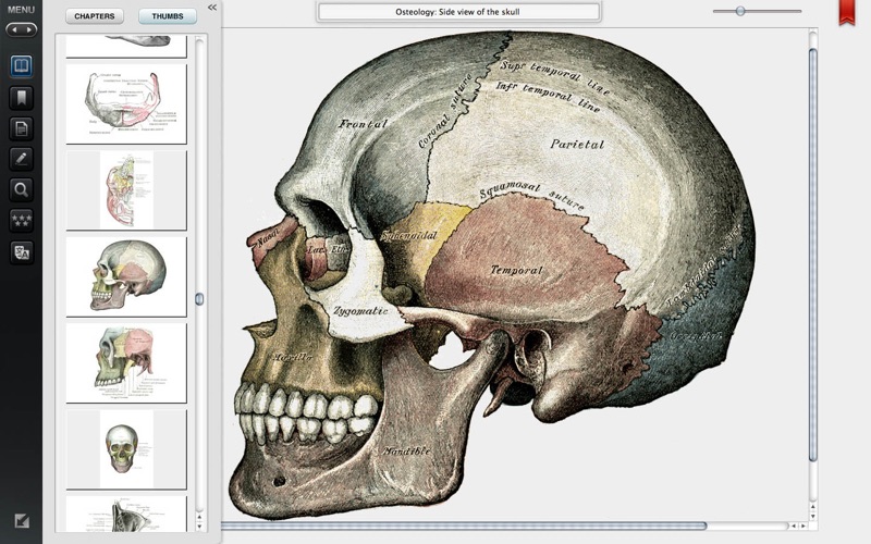 gray's anatomy premium edition iphone screenshot 2