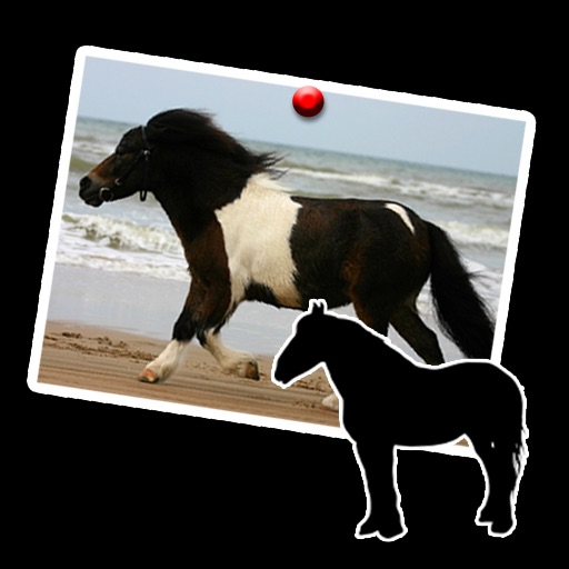 Pony beautiful vip icon