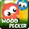 WoodPecker