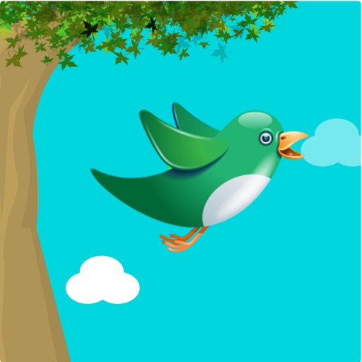 iBirdy icon