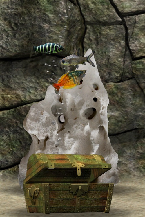 Tropical Aquarium