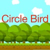 Circle Bird