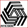 American TESOL