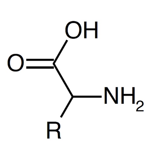 Amino Acid Quiz iOS App