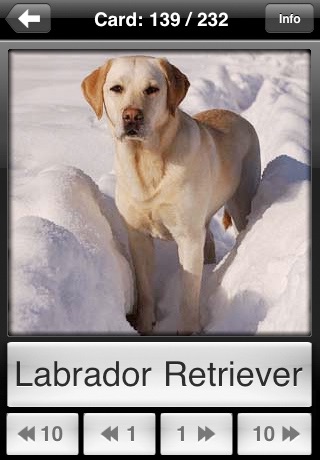 Dogs Flip: Flashcards of Dog Breeds screenshot 2