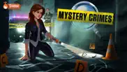 hidden objects: mystery crimes problems & solutions and troubleshooting guide - 4