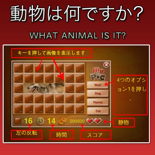 動物は何ですか icon