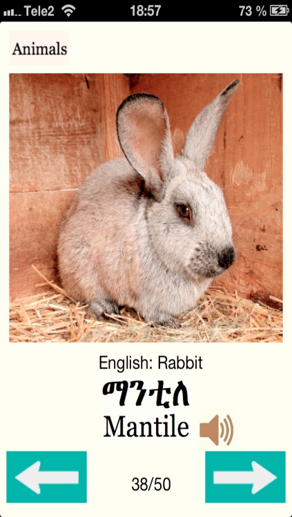 Tigrinia screenshot-3