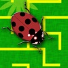 Ladybug Maze