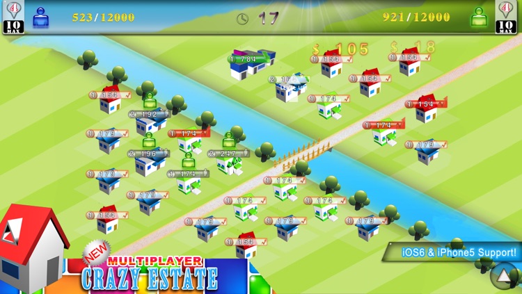 Crazy Estate