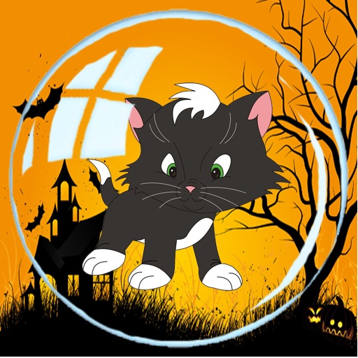 Halloween Bubble Kittens for iPad