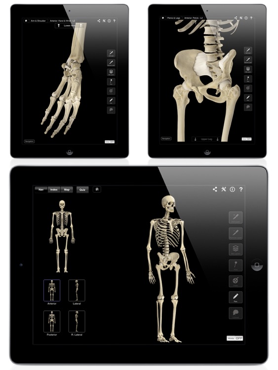Skeleton System Pro III