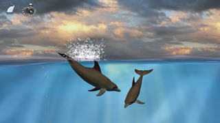 Dolphin Fingers 3D Interactive Aquarium Screenshot 1
