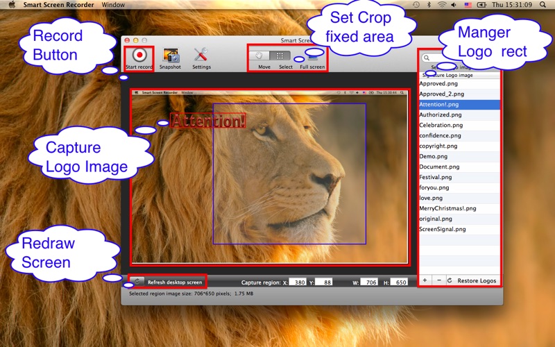 Screenshot #2 pour Smart Screen Recorder