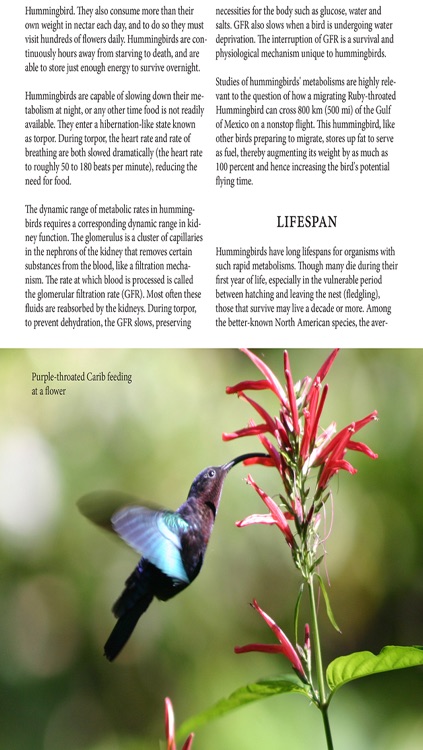 Birds Magazine screenshot-4