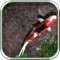 The excellent Pocket Pond HD and its younger sibling iFish Pond HD are great virtual fish apps that feature realistic water ripples, double-tapping to feed the koi, a relaxing nature soundscape, thunderstorm effects, lily pads, dragonflies, and a lot more