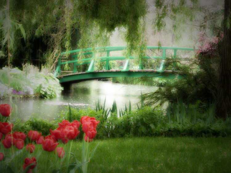 Romantic Photo HD screenshot-4