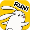 Little Bunny Run