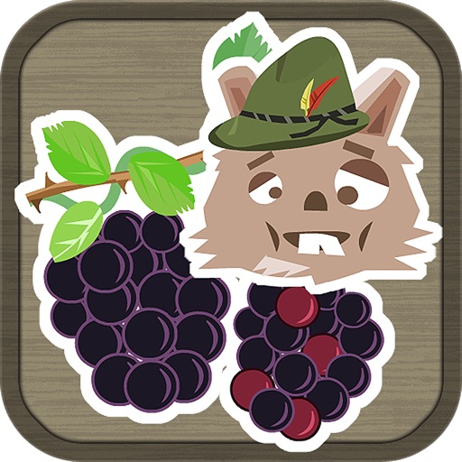 Black Berry Picker iOS App