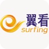 翼看Surfing