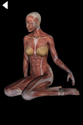 360 Anatomy for Artists - Seated Figure screenshot 3