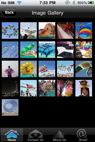 Kites screenshot 2