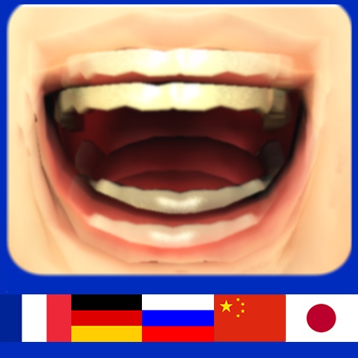 LingoBox - Learn French, German, Chinese, Russian and Japanese. icon