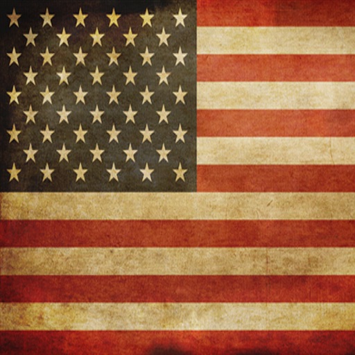 USA Waving Flag icon
