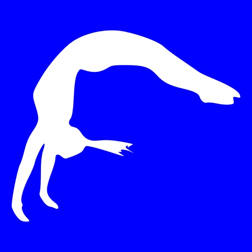 Gymnastics Log Book