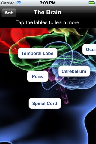 The Body - Human Anatomy Learning Tool & Quiz screenshot 2