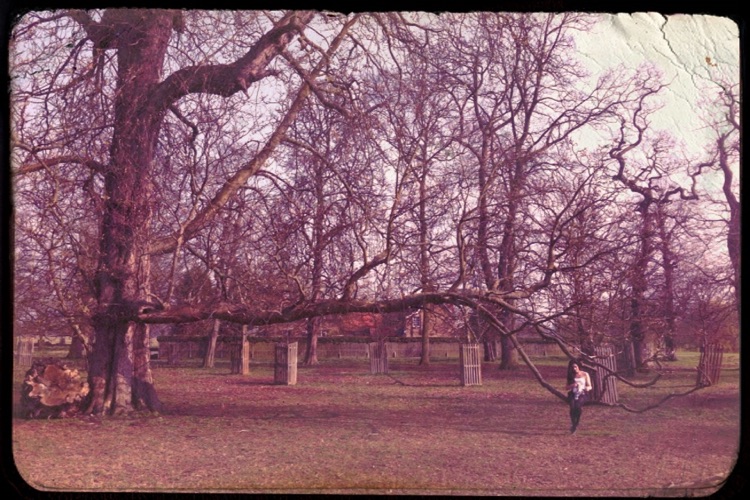 Lumiere screenshot-3