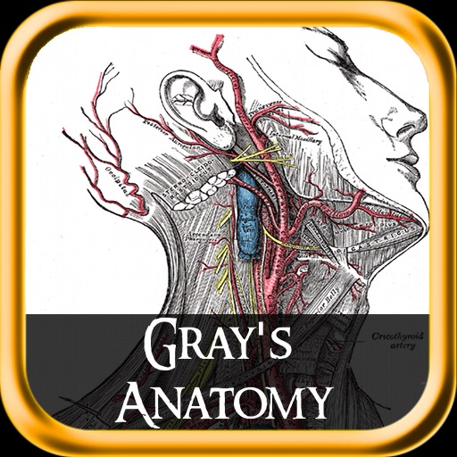 Gray Anatomy (+1000 Illustrations) for iPad icon