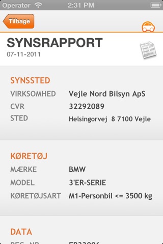 Synsrapport screenshot 4